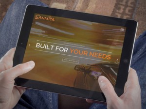 sanmita blog hands